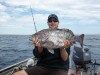 Rankin Cod